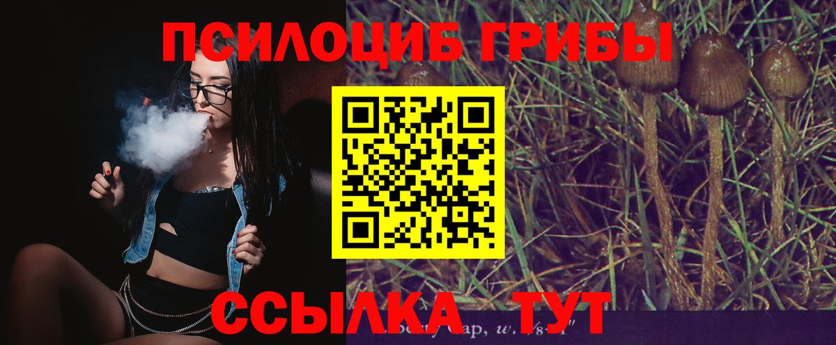 Котельники  Галлюциногенные грибы мицелий  Вход с VPN 